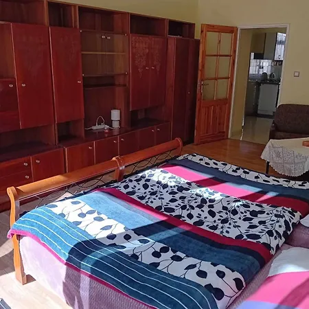 Апартаменты Flowery Bedroom Zizkov *