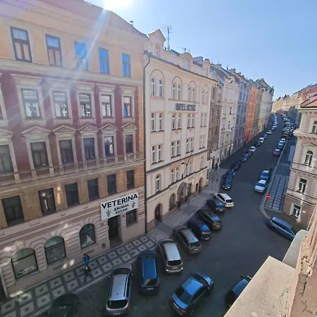 Апартаменты Flowery Bedroom Zizkov *